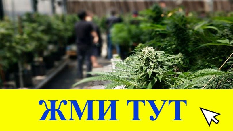 Купить наркотики в Кулебаки